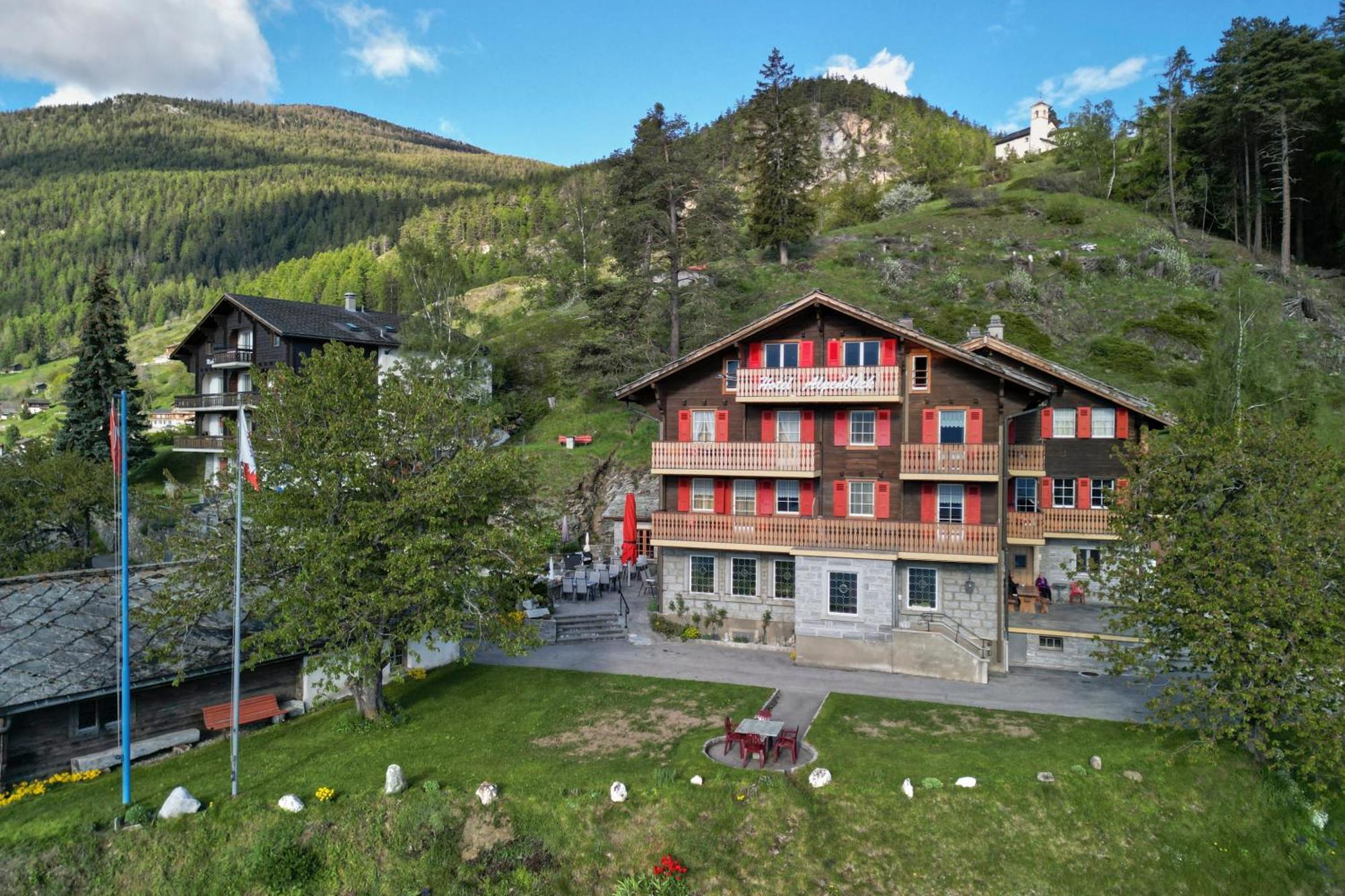 Alpenblick Zeneggen