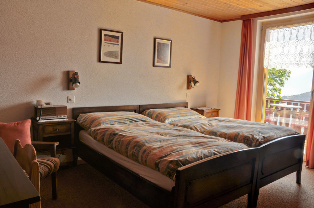 Hotel Alpenblick 3*